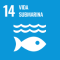 Objectiu de Desenvolupament Sostenible 14: vida submarina
