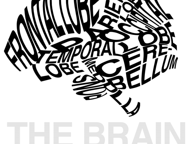 Neuroscience