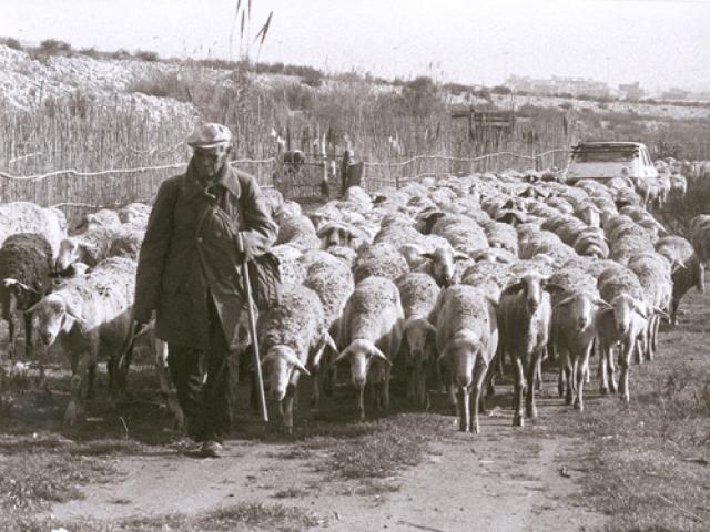 fons imatges antigues antiguas viladecans fotografias
