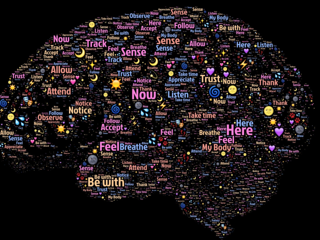 brain