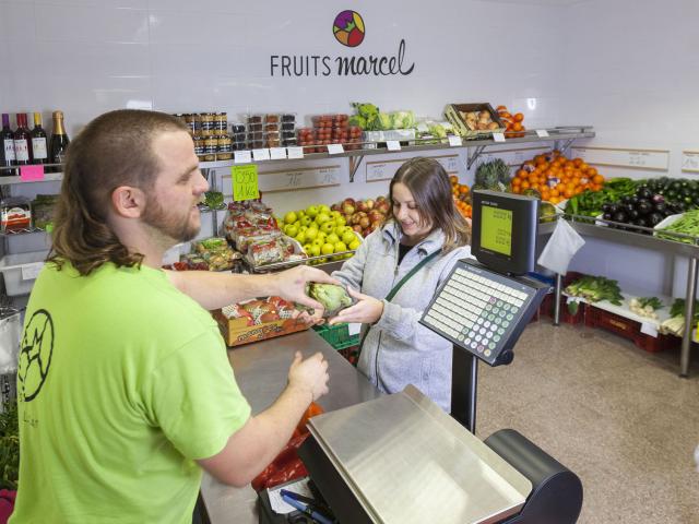 fem feina viladecans subvencions ajudes apoyo emprendedores ayudas dinero subvenciones
