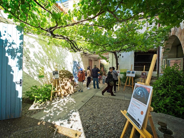 Museu de Viladecans Museu de Viladecans