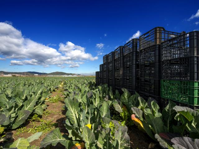 @Espai Latent parc agrari pagesos viladecans