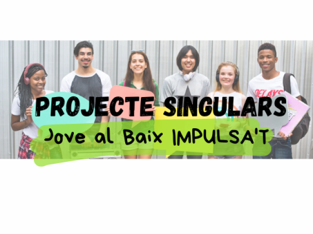ProjecteSingulars ProjecteSingulars
