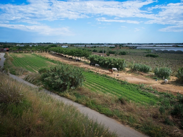 Parc Agrari de Viladecans