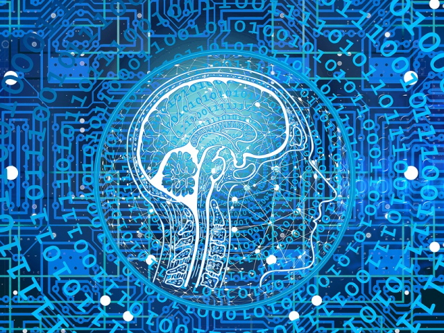 neurociència
