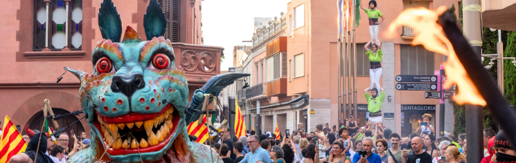 Viu la nit de Sant Joan Viu la nit de Sant Joan