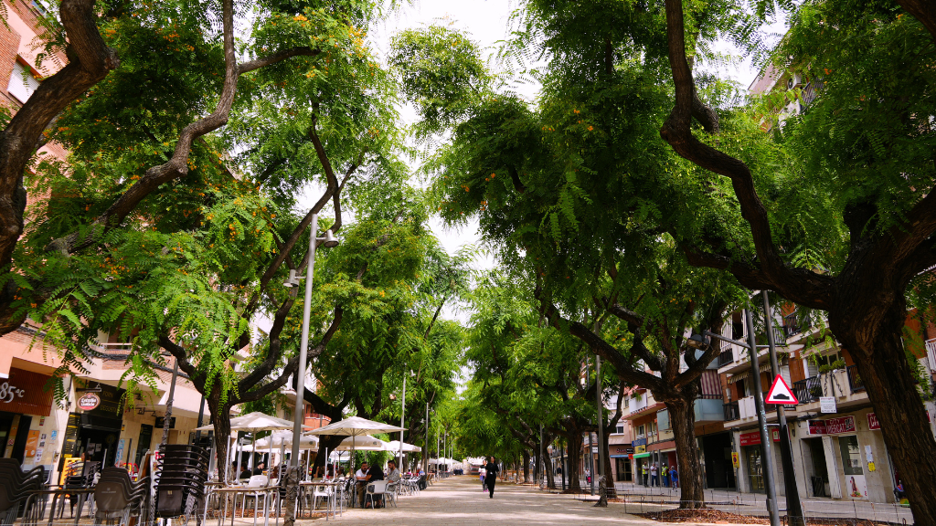Rambla Modolell Rambla Modolell