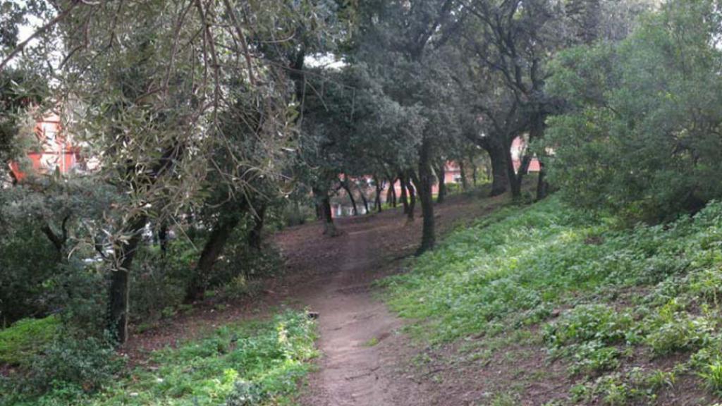 bosc can ginestar viladecans parc