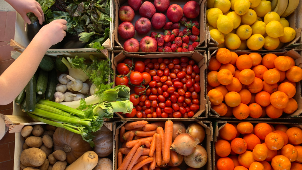 alimentaciocancer