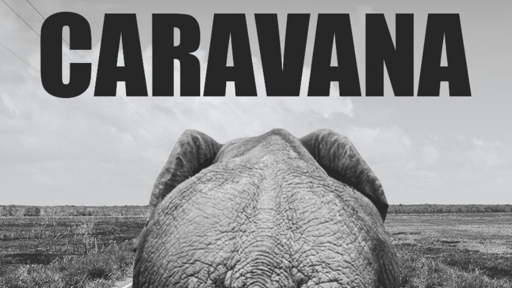 Festival SUNCINE: Caravana