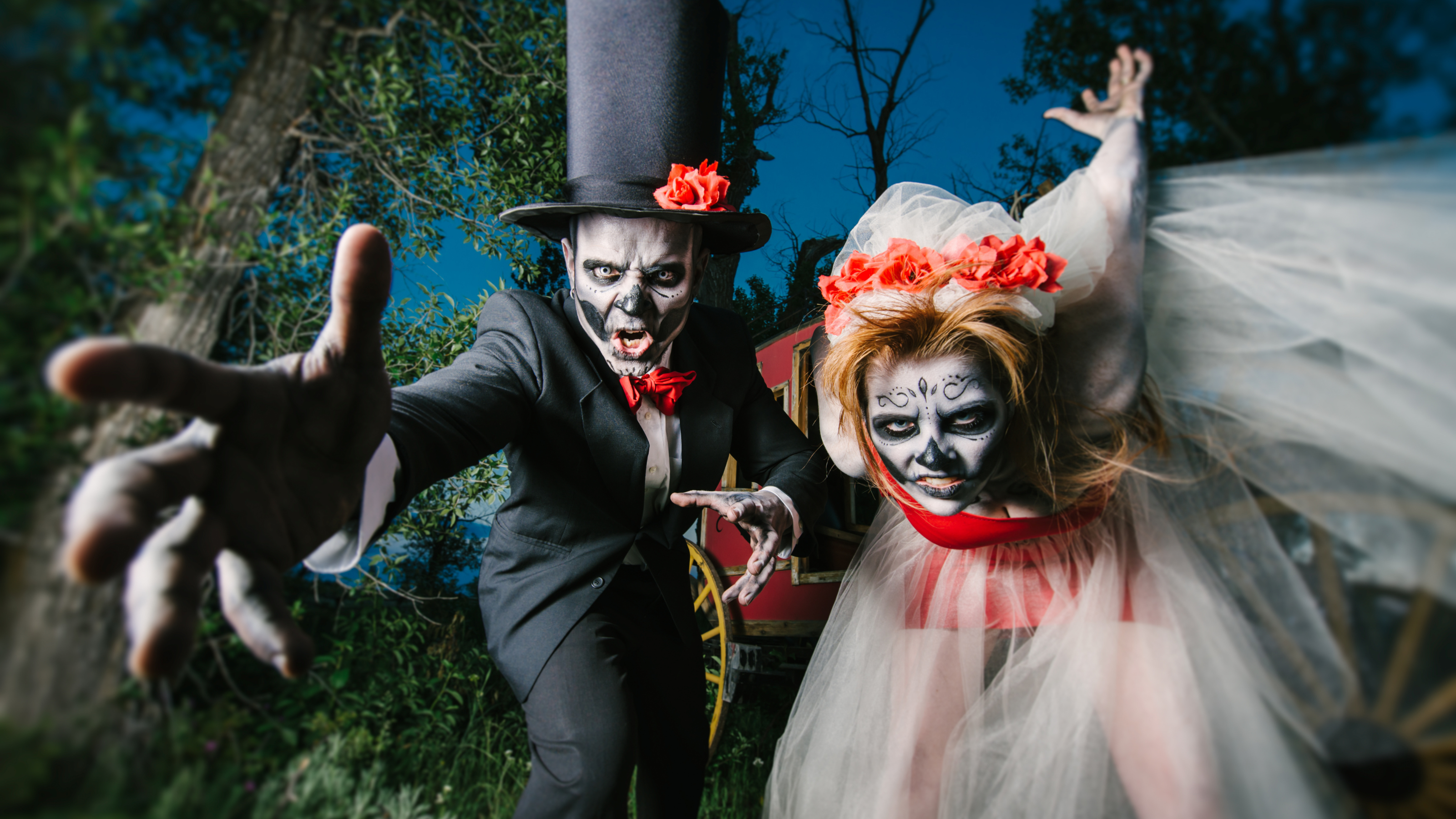 Halloween Halloween