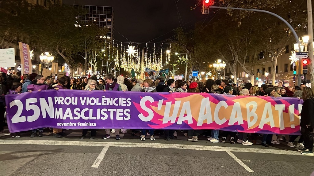 manifestacio 25n