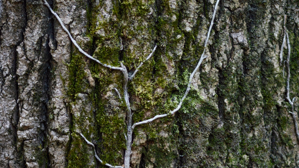 textures textures
