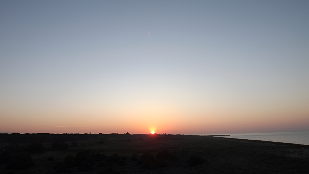 alba alba