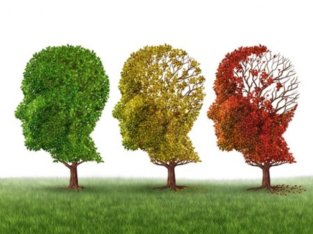 Taula de Salut Mental