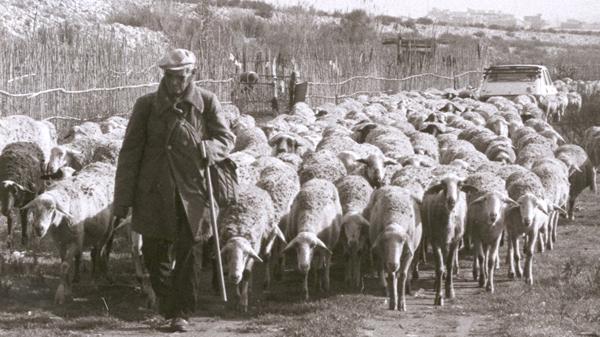 fons imatges antigues antiguas viladecans fotografias