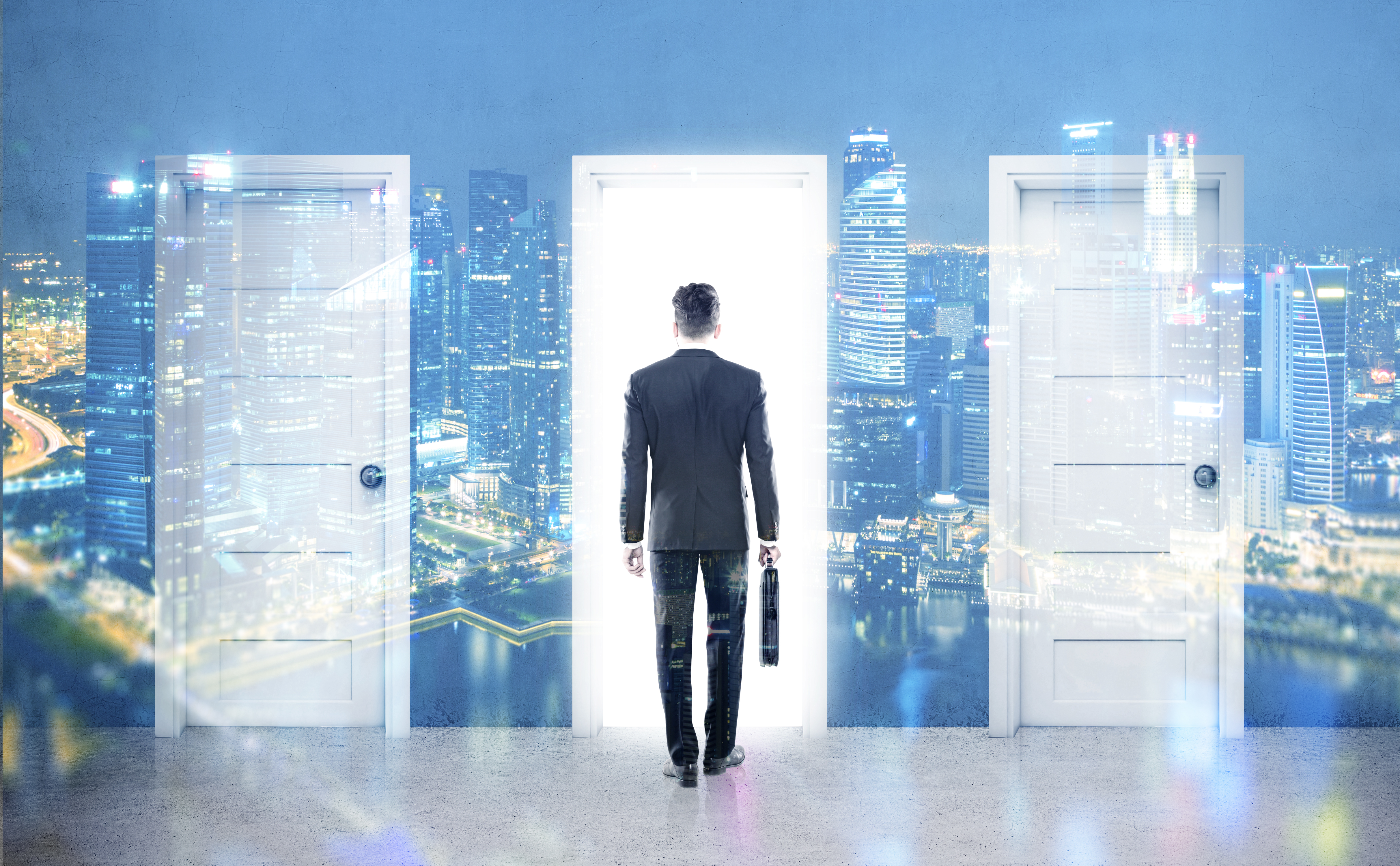portals professionals