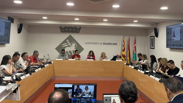 Ple Municipal de juny