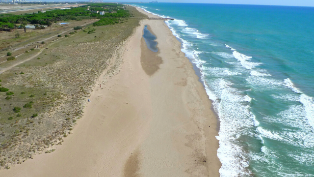 La platja del Remolar, a vista d'ocell