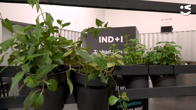 plantes bio a l'indi day 2022