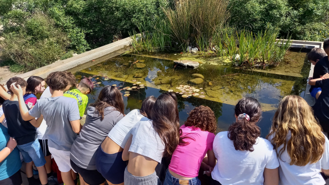 educacioambiental