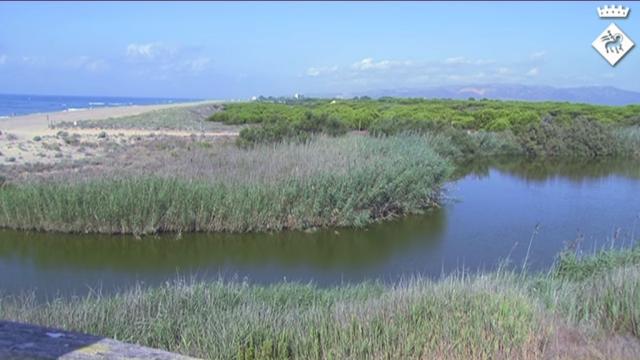 Platges de Viladecans l'estiu de 2016