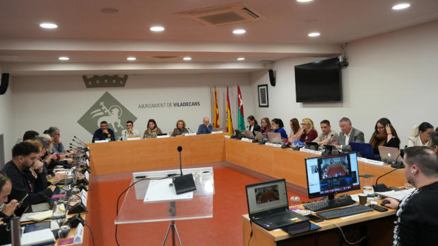 Ple municipal desembre 