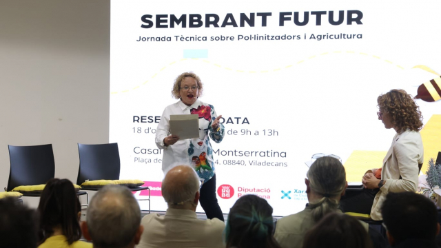 jornada