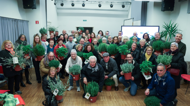Plantes mur Sant Isidre