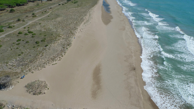 platja del Remolar