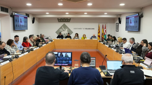 Ple de Novembre de 2025