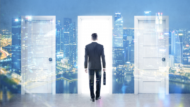 portals professionals