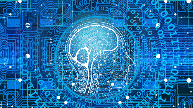 neurociència