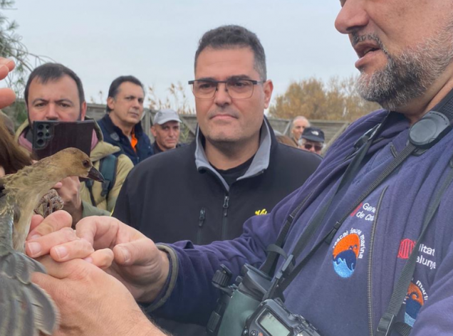 Riesgo mínimo de extinción Riesgo mínimo de extinción