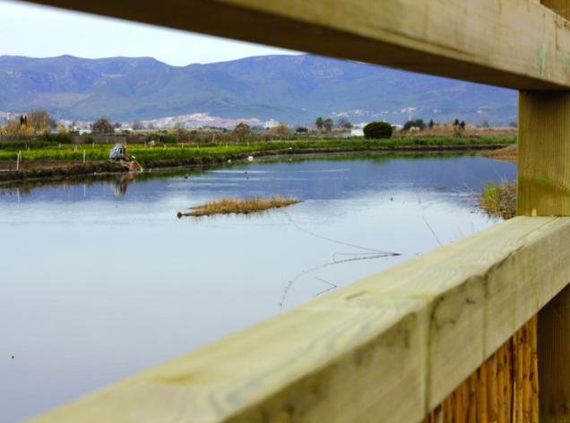 estany murtra viladecans espais naturals delta llobregat