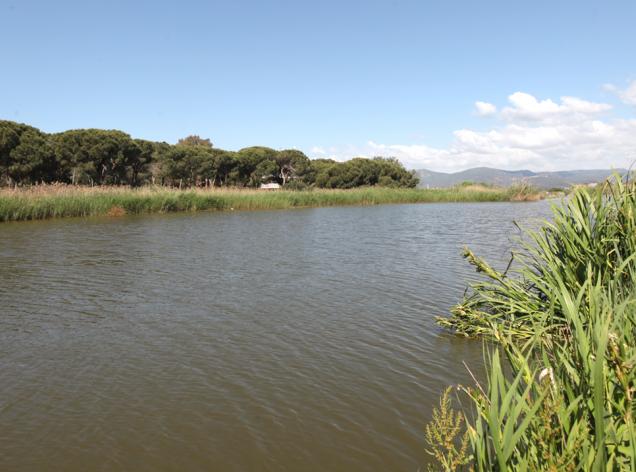 estany murtra viladecans espais naturals zones humides delta