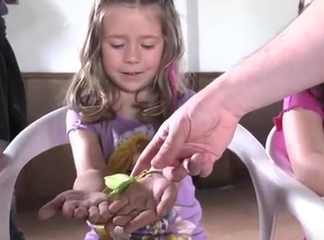 remolar dia biodiversitat activitats familiars viladecans