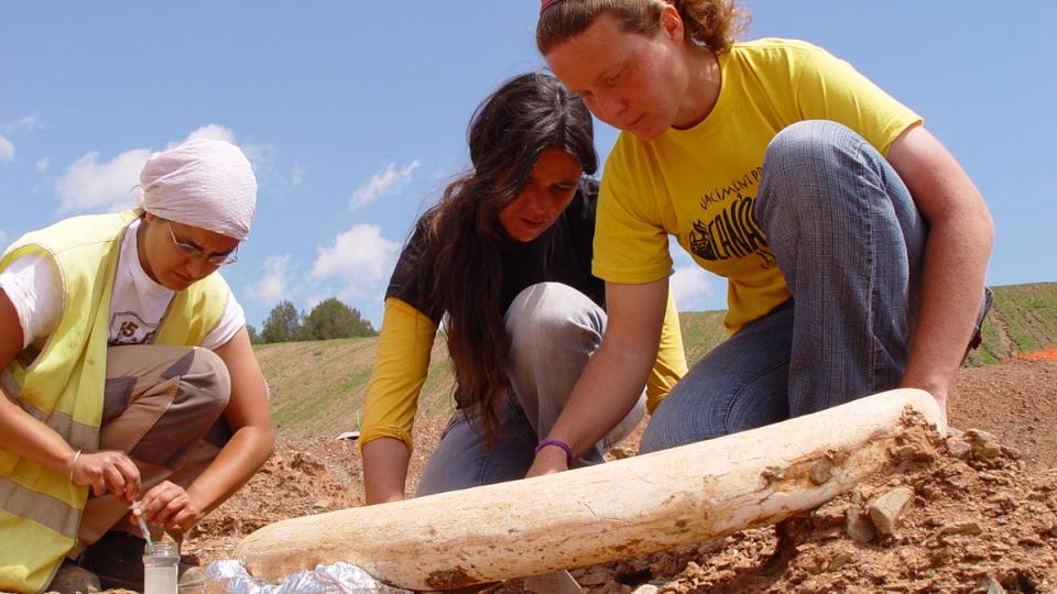 jaciment mamuts can tries viladecans paleontologia baix llonregat yacimiento