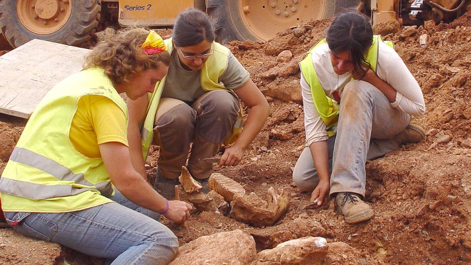 jaciment mamuts can tries viladecans paleontologia baix llonregat yacimiento