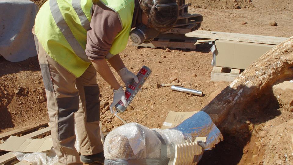 jaciment mamuts can tries viladecans paleontologia baix llonregat yacimiento