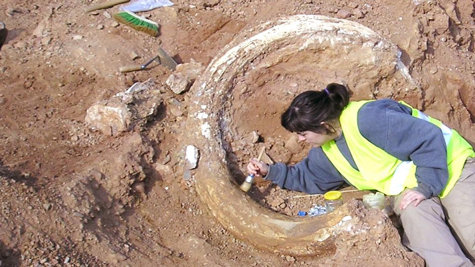 jaciment mamuts can tries viladecans paleontologia baix llonregat yacimiento