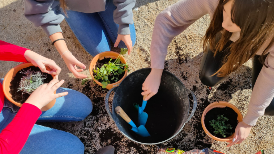 Alumnes de l'Institut Josep Mestres plantant plantes aromàtiques