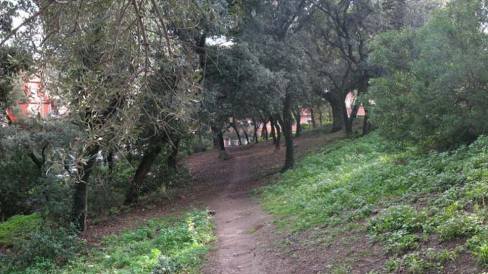 bosc can ginestar viladecans parc