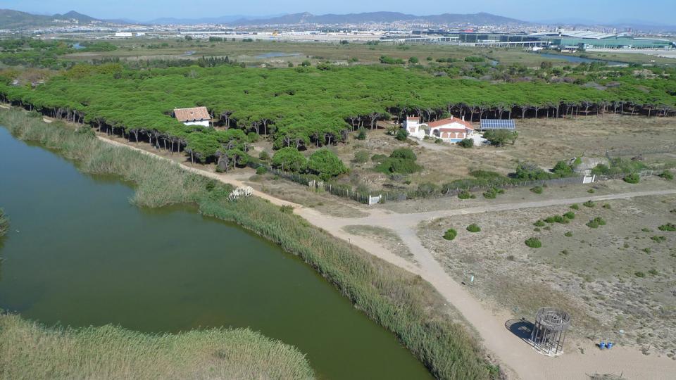 pineda litoral viladecans