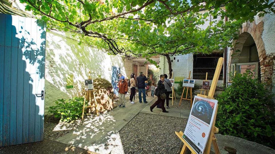 Museu de Viladecans Museu de Viladecans